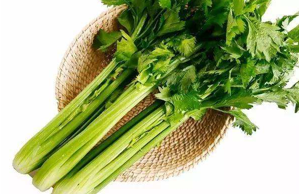 芹菜 芹菜
