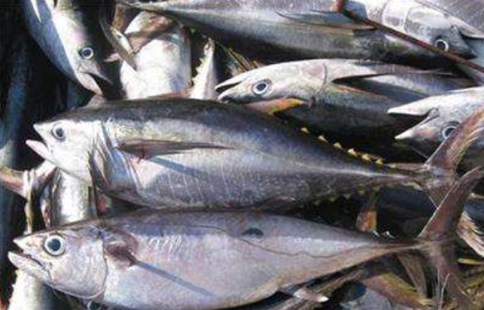 1585727710487722.png image.png