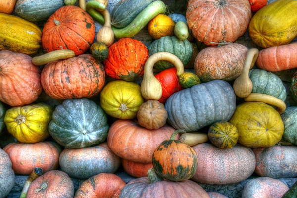 昆明生鮮配送公司哪家好？