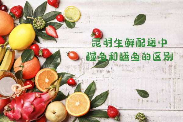 鰻魚和鱔魚的區(qū)別有哪些？