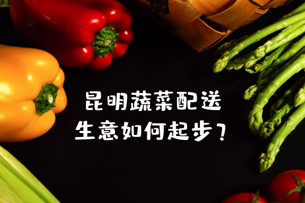昆明蔬菜配送生意如何起步？