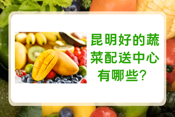 昆明好的蔬菜配送中心有哪些？